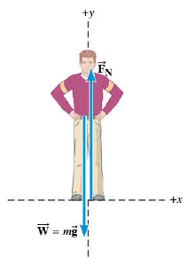 the-image