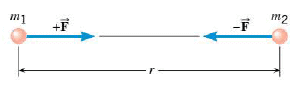 the-image