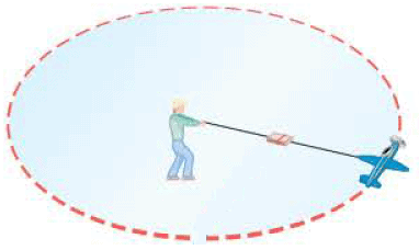 the-image